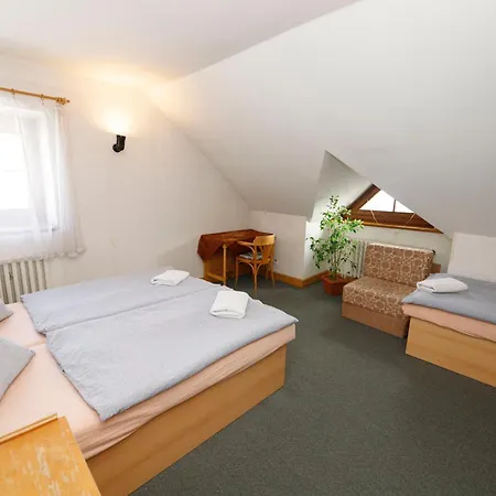 Guest house Mala Rennerovka Strazne